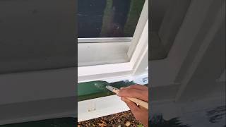 Fact: The human eye can perceive more shades of green than any other color #handyman #painting #diy