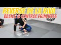 Reverse De La Riva Basics 