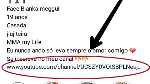 Como colocar link do canal no Instagram?