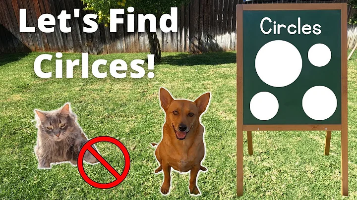 Professor Ginger Teaches About Circles | Circle Scavenger Hunt | Real Objects Shaped as Circles