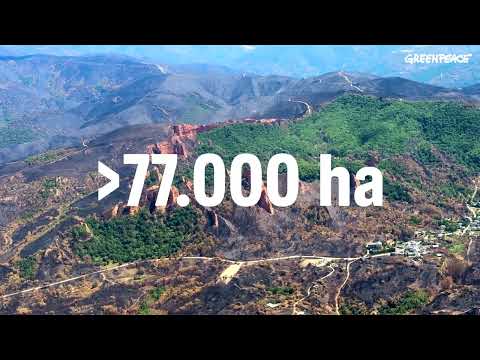 Los incendios desde el aire. Imágenes inéditas.