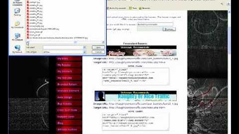 How to use Personalized Banner Mod for LFMTE Traffic Exchanges