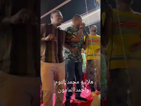 هلاليه ومحمد التوم واحمدالمامون