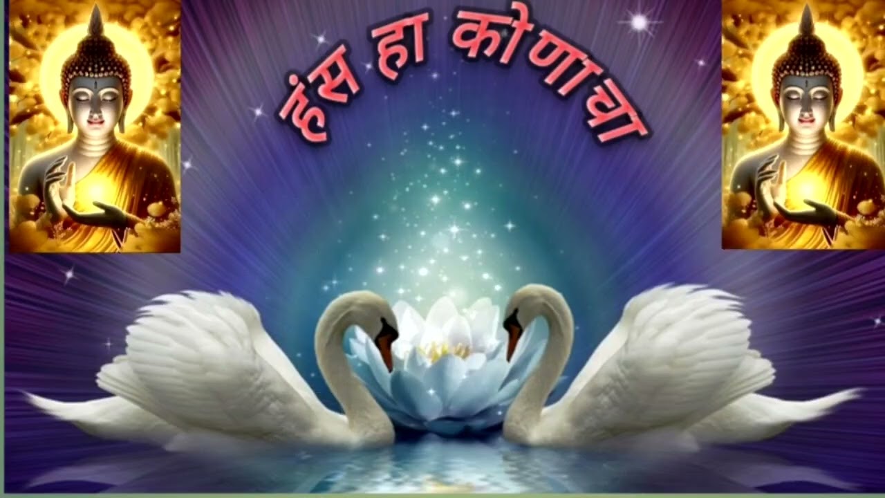 हंस हा कोणाचा