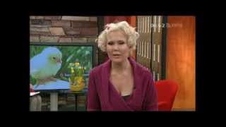 Mtv3 Morning Show About Finn-Brit Players 20.03.2008