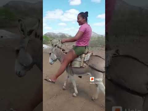 Fun Donkey ride