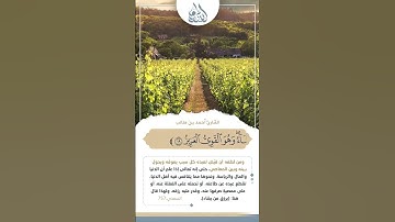 الله لطيف بعباده #القران #تلاوة_خاشعة #تلاوة_هادئة