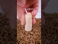 Real Ant Battle for Survival | Amazing Insect Fight 🐜 #Nature #Shorts