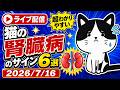 【7/16 生配信】超わかりやすい!猫の腎臓病のサイン6選【アーカイブは7/17まで】