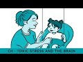 Cynthia Hall - Toxic Stress and the Brain - A Cognitive Whiteboard Animation