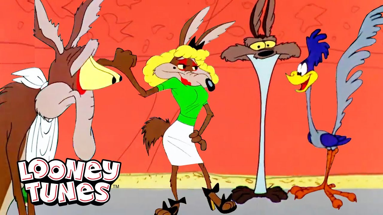 20 Minutes Of Wile E Coyote Being A Hot Mess  Looney Tunes  GenerationWB