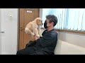 このままだと死んでしまう。病院で危険な状態だと判明した子犬。【Golden Retriever japan】