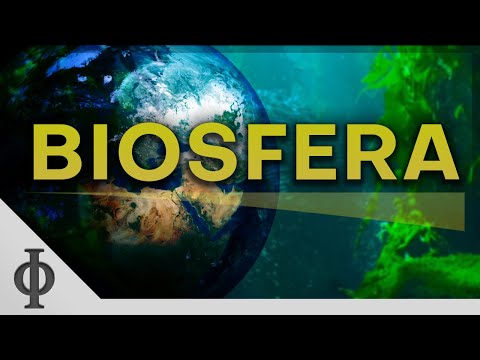 Biosfera