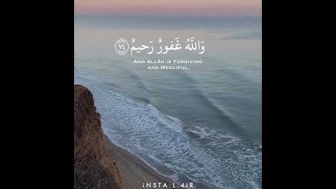 القارئ : ناصر القطامي/ { أفلا يتوبون إلى الله ويستغفرونه ۚ والله غفور رحيم } سورة : المائدة