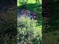 25.07.25. он сказал спасибо русскому народу