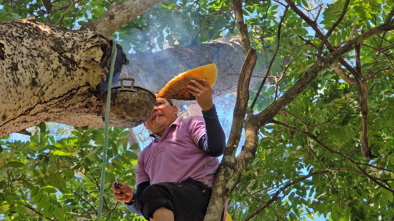 los benimos en vusca de colmenas miren 👇 la q encontramos 