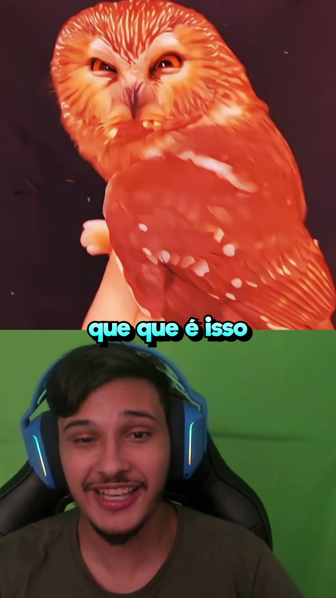 Os Pássaros Mais Assustadores de Todos