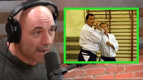 Joe Rogan - Is Steven Seagal Legit?
