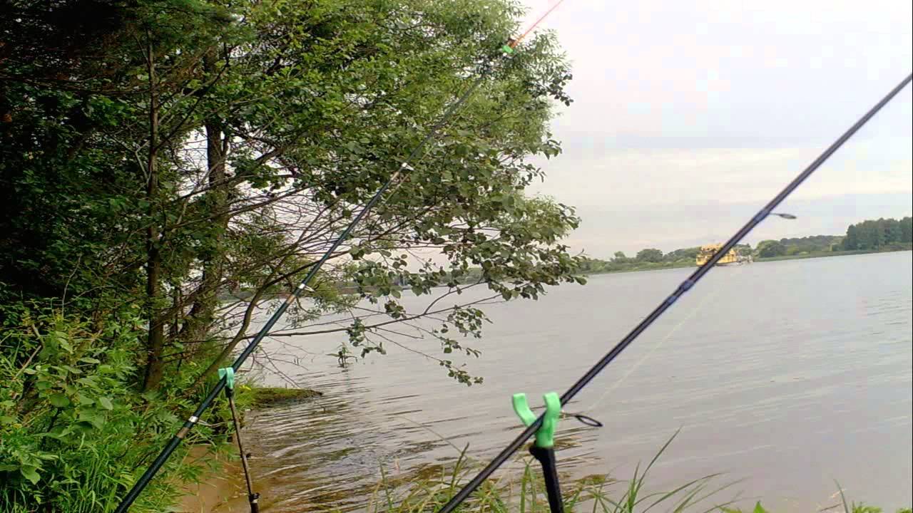 Лисицкий бор тверь карта