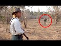 6 Lion Encounters That Will Give You Chills (Part 4)