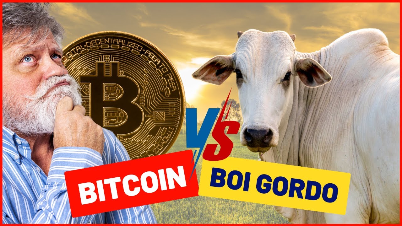 Bitcoin ou Boi Gordo: Qual investimento traz mais lucro e segurança?