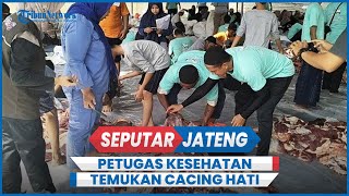 Petugas Kesehatan Hewan Temukan Cacing Hati di Sejumlah Hewan Kurban di Blora