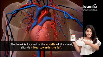 Human Heart | Class 7 Science - Learnflix app