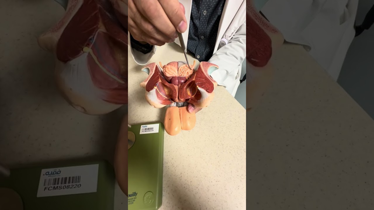 ER OSPE MID-MODULE 2026