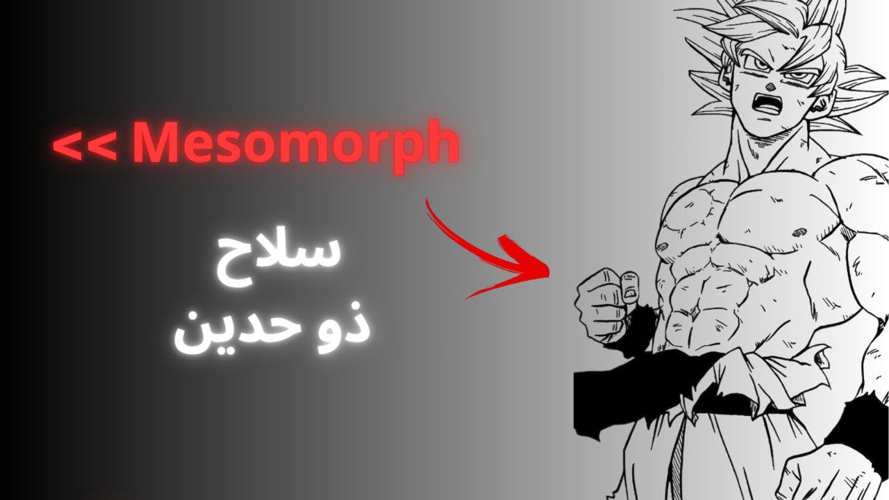 هل تملك جسم الميزومورف؟ هذا ما لا يخبرك به أحد 🧠