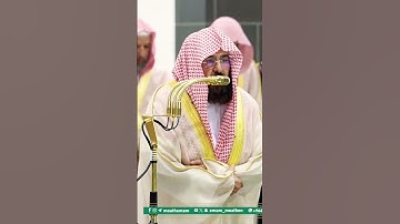 تلاوة خاشعة جداً وتأثر فضيلة الشيخ د. عبدالرحمن السديس💔 || ليلة 7 رمضان 1446ه‍ـ
