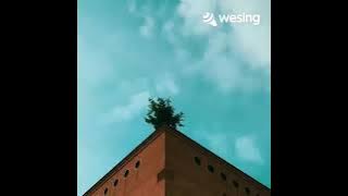 WeSing Muto'an kau neu sa