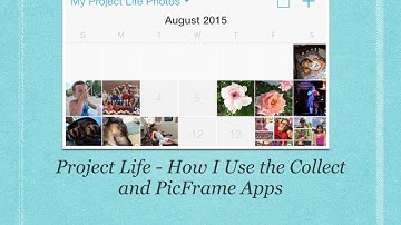 Project Life - How I Use the Collect and PicFrame Apps