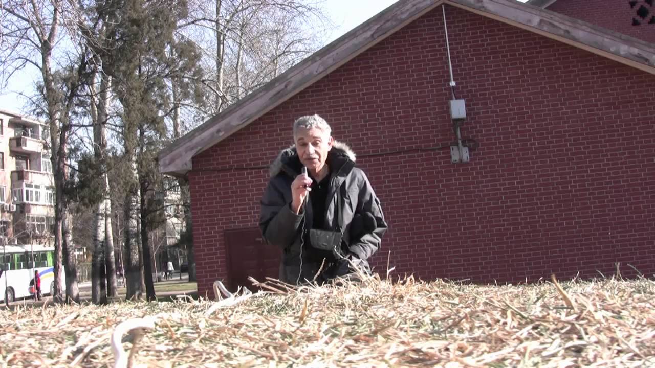 China's Buying Spree and the Challenges