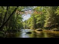 Tranquil River Flow 🌿 Soothing Nature Soundscape for Sleep and Stress Relief #753