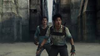 ايجي بيست = The Maze Runner  Maze Running egy best