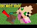 Minecraft: *NEVER* DIG STRAIGHT DOWN! - CENTER OF THE EARTH - Custom Map