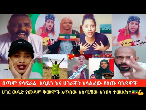 ቪዲዮ: ነጭ አንበሶች በሚኖሩበት ቦታ