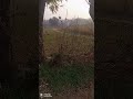 #entertainment #subscribetomychannel #viral #viralshort #viral_video