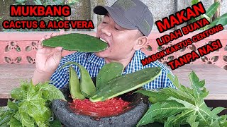 Mukbang Lalapan Batang Pepaya Mentah  Kaktus  Lidah Buaya  Sambal Terasi  eatingcactus asmr