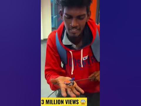 duke 200 bs4 launch date