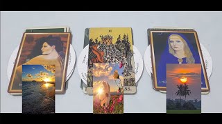 Bạn đang có sự quan tâm đặc biệt từ ai _ Tarot BTK