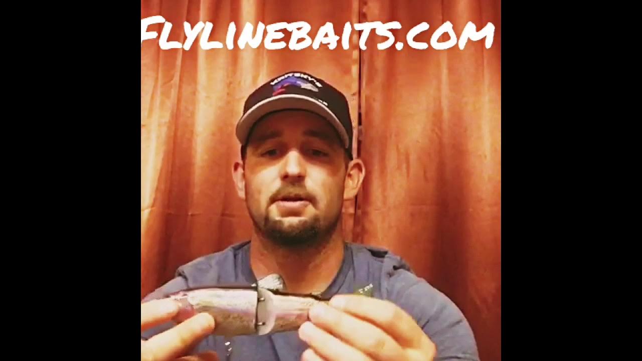 Beginner Glide Bait Tips for BIG Striper YouTube
