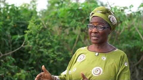 Ola Adegun, Agro Allied Cassava Commercial Farmers: How important is Cassava to Nigeria?