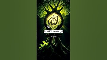 #سورة_البروج #القزابري #حالات_واتس