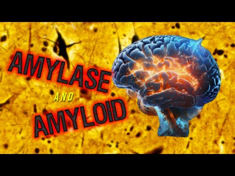 Amylase and Amyloid