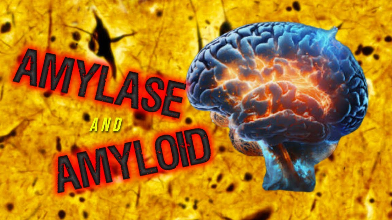Amylase and Amyloid - YouTube