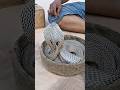 Snake Charmer's Fearless Life 😱 #shorts #snake #viral