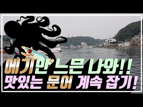 방파제 문어낚시(8마리)300원짜리 채비와 액션