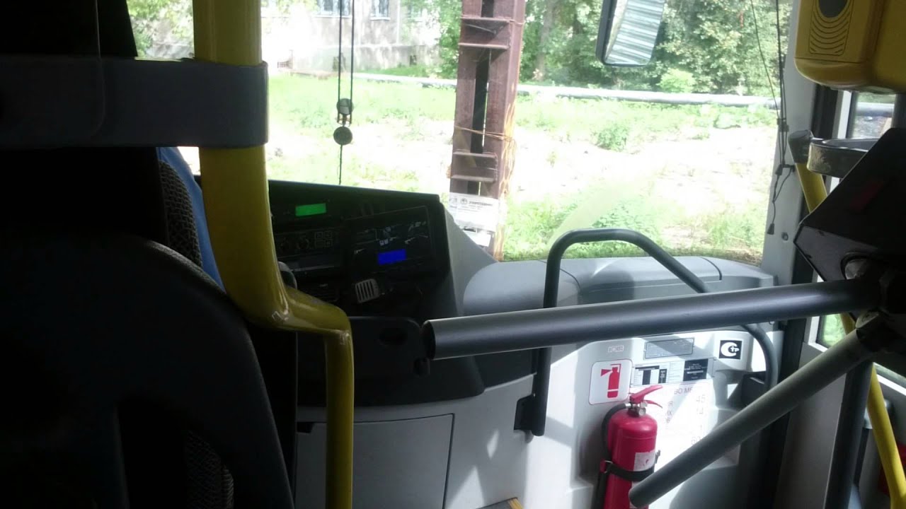 Голаз прёт по двору Голаз прёт по двору