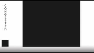 Colour and Design Black square problem animation assignment - CONGESTED